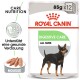 Royal Canin Digestive Care Hundefutterpackung mit einem schwarz-braunen Hund, beschriftet mit '85g x 12' und 'Care Nutrition.'
