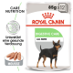 Royal Canin Digestive Care Hundefutterpackung mit einem schwarz-braunen Hund, beschriftet mit '85g x 12' und 'Care Nutrition.'