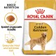 Golden Retriever Adult 12 kg