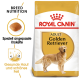 Royal Canin Adult Golden Retriever Hundefutterbeutel mit einer Illustration eines Golden Retrievers, der die Ernährung für gesunde Haut und Fell betont.