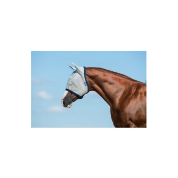 Ein kastanienbraunes Pferd, das eine hellgraue Fliegenmaske trägt, steht vor einem blauen Himmel und zeigt sein Profil und sein glattes Fell.