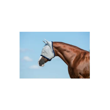 Ein kastanienbraunes Pferd, das eine hellgraue Fliegenmaske trägt, steht vor einem blauen Himmel und zeigt sein Profil und sein glattes Fell.