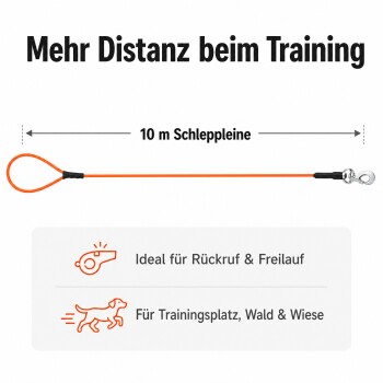 Hand hält eine leuchtend orangefarbene Hundeleine mit einem schwarz-weißen Hund im Hintergrund auf einem Waldweg.