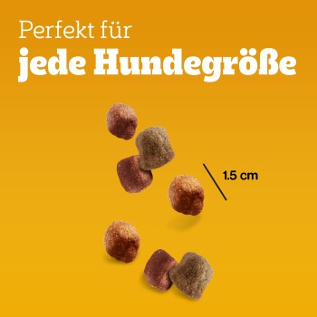 Hundetrockennahrung in verschiedenen Formen und Farben, mit dem Text "Perfekt für jede Hundgröße" und einer Maßangabe von 1,5 cm.