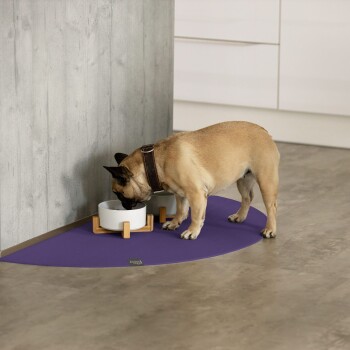 Ein beiger Hund mit einem dunklen Halsband frisst aus einer weißen Schüssel auf einem Holzständer, der auf einer lila Matte in einer modernen Küche steht.