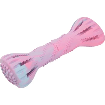 Dental Chew Toy