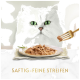 Eine flauschige weiße Katze mit auffälligen grünen Augen schaut auf einen Teller mit zerrissenem Fleisch, begleitet von einer goldenen Gabel. Der Text lautet "SAFTIG-FEINE STREIFEN."