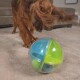 Ein verspielter Hund interagiert mit einem bunten, transparenten Spielzeugball, der blaue und grüne Abschnitte hat, die kleinere Bälle im Inneren zeigen.