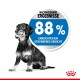 Ein schwarz-weißer Hund sitzt neben einem blauen Kreis mit der Aufschrift '88% erreichten ein gesünderes Gewicht' auf rotem Hintergrund.