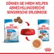 Royal Canin Welpenfutter für mittelgroße Rassen, mit Trockenfutter- und Nassfutteroptionen, mit Text, der vielfältige Sinneserfahrungen für Welpen fördert.