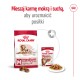 Medium Ageing 10+ w sosie 10x140 g