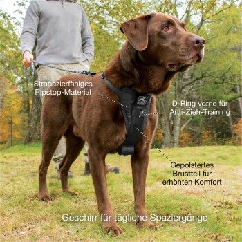 Ein brauner Labrador in einem schwarzen Geschirr steht auf Gras, angeleint von einer Person. Text hebt hervor: langlebiges Material, vorderer D-Ring, gepolsterte Brust, tägliche Spaziergänge.