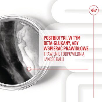 Postbiotyki, w tym beta-glukany, wspierające prawidłowe trawienie i jakość stolca, z nowoczesnym tłem.
