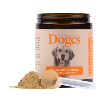 DOGCS Active Care Complex