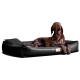 Ein brauner Hund liegt auf einem schwarzen Hundebett und schaut mit einem entspannten Ausdruck nach oben. Das Bett hat ein kleines Logo-Tag.