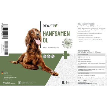 Eine Nahaufnahme eines braunen Hundes mit einer weißen Schnauze, der durch grüne Farne späht, mit einem sanften Ausdruck und leuchtenden Augen.