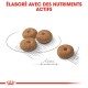 Quatre croquettes rondes pour animaux de compagnie sont affichées sur une assiette esquissée, avec le texte 'ÉLABORÉ AVEC DES NUTRIMENTS ACTIFS' au-dessus.