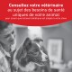 Border Collie chez le vétérinaire avec son propriétaire ; bannière rouge indiquant en français : 'Consultez votre vétérinaire...'.