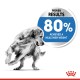 A playful golden retriever in motion, accompanied by a graphic stating "PROVEN RESULTS 80% ACHIEVED A HEALTHIER WEIGHT."