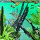 Eine lebendige Aquarienlandschaft mit verschiedenen bunten Fischen, die zwischen Wasserpflanzen und Treibholz schwimmen, mit einem hellgrünen Hintergrund.
