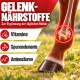 Ein verspieltes kastanienbraunes Pferd, das auf einer saftig grünen Wiese auf den Hinterbeinen steht und seinen muskulösen Körper und die fließende Mähne zeigt.