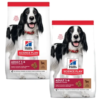 Zwei Säcke Hill's Science Plan Hundefutter für erwachsene Hunde, gekennzeichnet mit "Erwachsene 1-6" und "Mittel 11-25 KG", mit einem schwarz-weißen Hund.