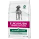 Torba z karmą dla psów Eukanuba Veterinary Diets Restricted Calorie z szarym psem, z napisem wskazującym na wsparcie dietetyczne w odchudzaniu.