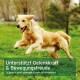 Ein Golden Retriever springt in einem grasbewachsenen Feld mit dem Text: "Unterstützt die Gelenkstärke und Bewegungsfreiheit."