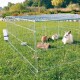 Ein geräumiger Außengehege für Kaninchen auf Gras, mit vier Kaninchen verschiedener Farben, einem Holzstamm und einer Wasserflasche, die am Zaun befestigt ist.