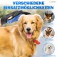 Eine Hand hält einen Pflegehandschuh neben einem Golden Retriever, mit Symbolen für Waschen, Entwirren und Haarentfernung bei einem Corgi, einer Katze und einem Pudel.