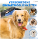 Eine Hand hält einen Pflegehandschuh neben einem Golden Retriever, mit Symbolen für Waschen, Entwirren und Haarentfernung bei einem Corgi, einer Katze und einem Pudel.