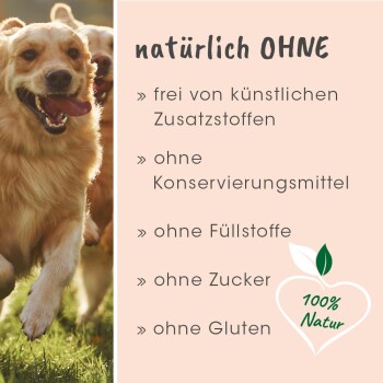 Golden Retriever spielen draußen mit Text über die Vorteile von natürlichem Haustierfutter: keine künstlichen Zusatzstoffe, Konservierungsmittel, Füllstoffe, Zucker oder Gluten.