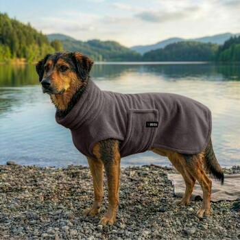 Ein brauner Hund, der ein gemütliches, kapuzenförmiges Handtuch trägt, steht an einem sandigen Strand, umgeben von hohem Gras und Holzpfosten im Hintergrund.