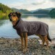 Ein brauner Hund, der ein gemütliches, kapuzenförmiges Handtuch trägt, steht an einem sandigen Strand, umgeben von hohem Gras und Holzpfosten im Hintergrund.