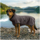 Ein brauner Hund, der ein gemütliches, kapuzenförmiges Handtuch trägt, steht an einem sandigen Strand, umgeben von hohem Gras und Holzpfosten im Hintergrund.