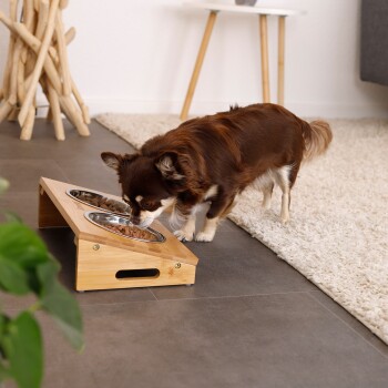 Ein brauner Chihuahua frisst aus einer Holzfütterungsstation mit zwei Schalen: eine mit Trockenfutter und eine mit Nassfutter, auf einem gefliesten Boden.