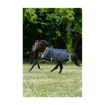 Ein schwarzes Pferd, das mit einer blau-gelben Decke durch ein blühendes Grasfeld läuft, umgeben von Bäumen.