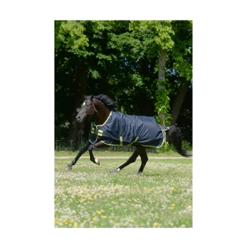 Ein schwarzes Pferd, das mit einer blau-gelben Decke durch ein blühendes Grasfeld läuft, umgeben von Bäumen.