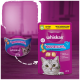 Verpackung von Whiskas-Katzenleckerlis mit einer grauen Katze, mit Text, der 'Knuspertaschen mit Lachs Geschmack' und ernährungsphysiologische Vorteile hervorhebt.
