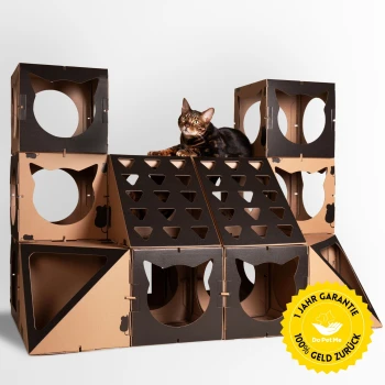 Katzenhaus Royal Castle - schwarz Eine verspielte Bengal-Katze liegt auf einem mehrstöckigen Pappspielhaus mit Ausschnitten und einem gelben "1 JAHR GARANTIE 100% GELD ZURÜCK" Abzeichen.
