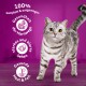 Eine graue getigerte Katze auf einem lila Hintergrund mit Text: "100% komplett & ausgewogen," "Harnwege," "starkes Sehen," "Gesunde Haut & Fell."
