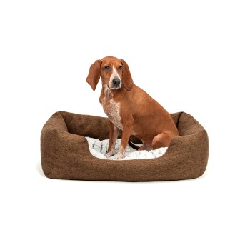 Hundebett mit Wendekissen meliert M