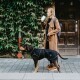 Hundemantel Uppsala Softshell schwarz 50 cm