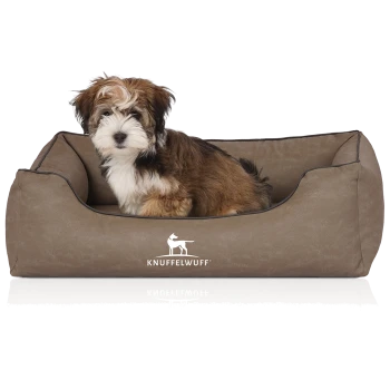 Ein kleiner, flauschiger Hund sitzt bequem in einem braunen Haustierbett, auf dem das Logo "KNUFFELWUFF" deutlich auf der Vorderseite zu sehen ist.