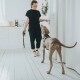 Eine Person in einem schwarzen Outfit hält eine Hundeleine, während sie mit einem grauen Hund in einer hellen Küche mit weißen Böden und Schränken interagiert.