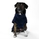 Ein Hund, der einen marineblauen Fleece-Mantel trägt, sitzt vor einem weißen Hintergrund und zeigt sein gemütliches Outfit.