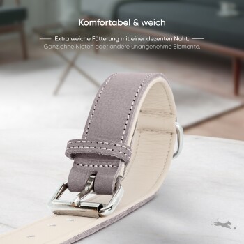 Nahaufnahme eines bequemen, weichen Haustierhalsbands in Grau mit einer silbernen Schnalle, mit Text über seine extra weiche Polsterung und Design.