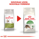 Image de deux sacs de nourriture pour chat Royal Canin : à gauche "OUTDOOR 30" (étiquette verte), à droite "Active Life OUTDOOR" (étiquette blanche) avec illustration de chat.