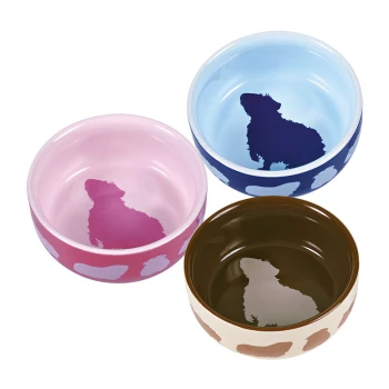 Trois bols pour animaux de compagnie en rose, bleu et marron, chacun présentant une silhouette de chien à l'intérieur.