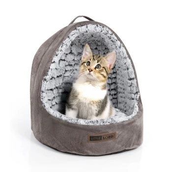 Ein süßes Kätzchen sitzt in einem gemütlichen grauen Haustierbett mit einem weichen, plüschigen Innenraum, beschriftet mit "LITTLE LORD."